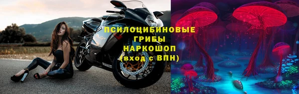 мдпв Вязьма