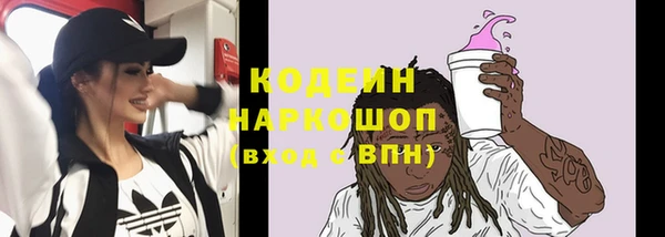 мдпв Вязьма