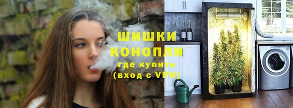 мдпв Вязьма