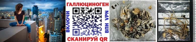 Галлюциногенные грибы мицелий  где найти наркотики  Красногорск 